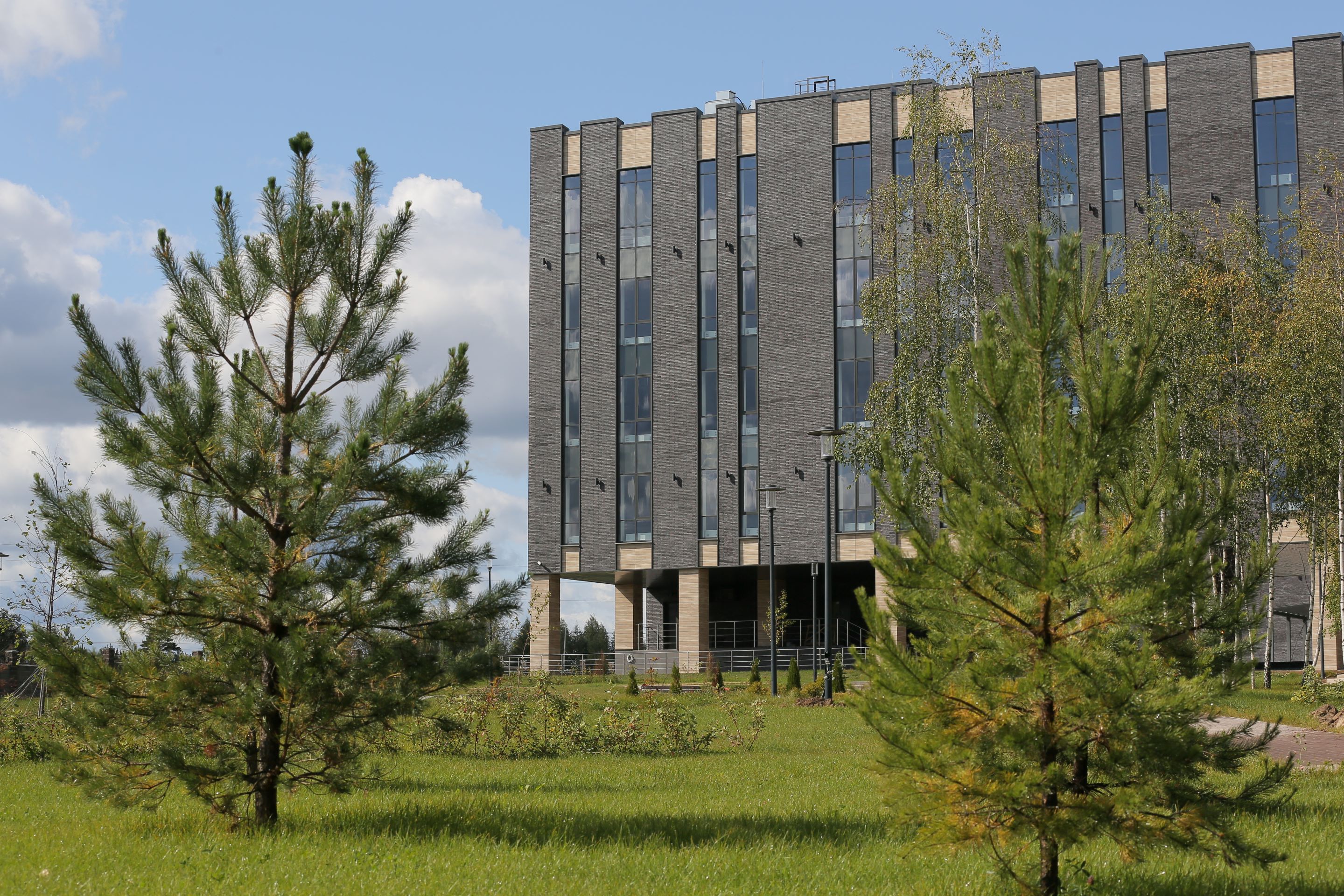 «Холмы» медициналық оңалту орталығы